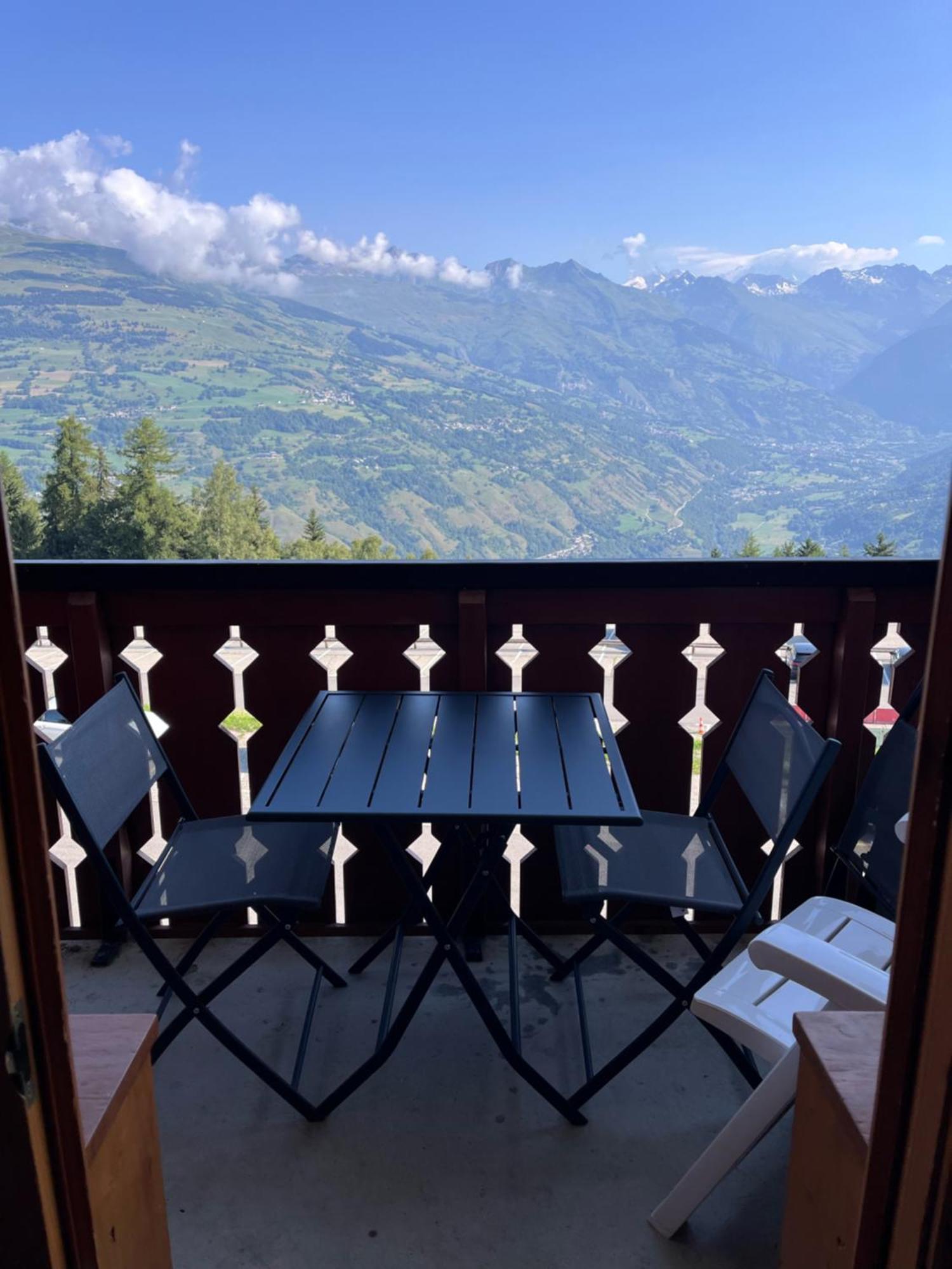 Au Pied Des Pistes Avec Vue Mont Blanc La Plagne-Tarentaise